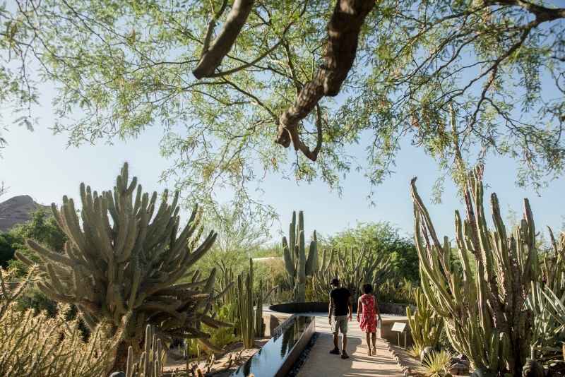 The Best Botanical Gardens in the US