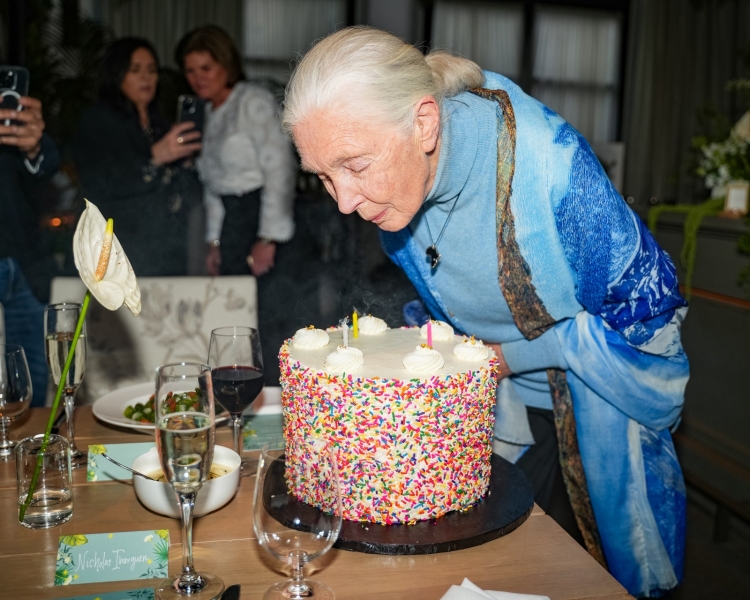 On Her 90th Birthday, Jane Goodall Tells Us Her Wish