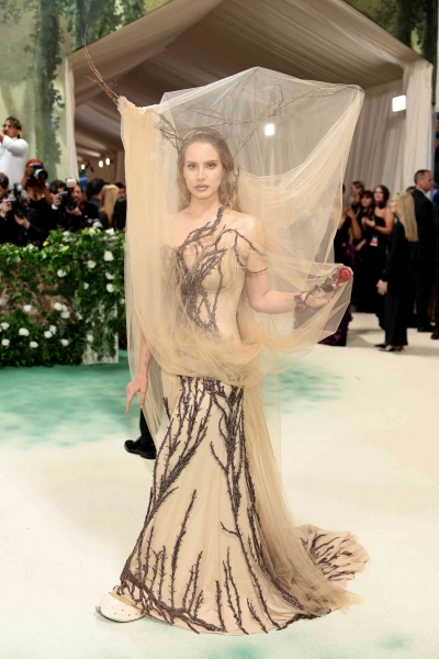 Lana Del Rey showed up to the 2024 Met Gala in a completely veiled McQueen look covered in branches. See the full 'Beauty and the Beast' inspired look here.