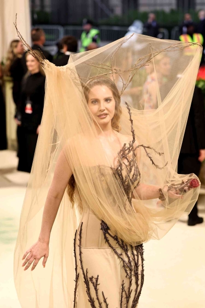 Lana Del Rey showed up to the 2024 Met Gala in a completely veiled McQueen look covered in branches. See the full 'Beauty and the Beast' inspired look here.